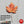 Load image into Gallery viewer, Autumn Blend Fall Seasonal Coffee