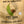 Load image into Gallery viewer, Organically Grown Guatemalan Coffee