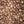Load image into Gallery viewer, Prospector's Gold Dark and Medium Roast Beans