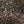 Load image into Gallery viewer, Single Origin Direct Trade Coffee Beans Roasted