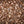 Load image into Gallery viewer, Sulawesi Indonesian coffee beans