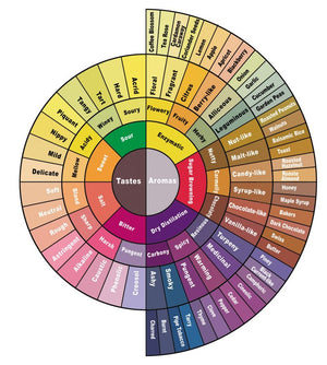 Coffee Flavor Wheel is from the SCA Specialty Coffee Association to allow graders to articulate the flavor profiles.