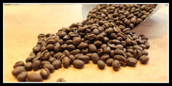 Peaberry Beans 
